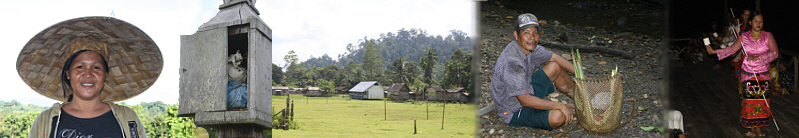 dayak Fernreisen