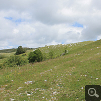 Orchid-rich meadows at the Forcella di Cervaro.