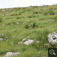 Species-rich meadows near Cervaro.