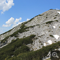 Auf dem Traweng. Blick auf die Westflanke.