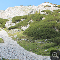 Ascent on the Traweng.