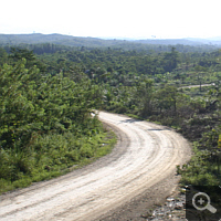 The logger dirt road.