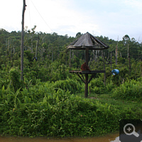 Inseln in Samboja Lestari mit Orang Utans.