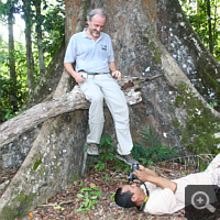 Thomas enjoys the spontaneity of pak Satriyo. Impressing are the gigantic buttressed roots of this jungle giant.