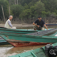 We drive with these klotoks to the orangutan - islands.