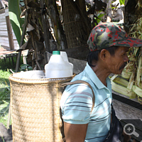 A Dayak with a classic basket.