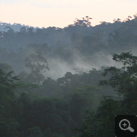 Der Regenwald schafft sich sein Klima selbst. Aufsteigende Wasserwolken in der Dämmerung.