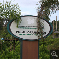 Pulau Orangutan in the area of Samboja Lestari. Here hepatitis-infected orangutans are kept on small islands.