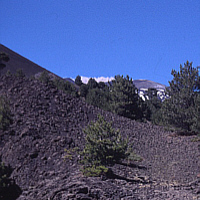 Lava gravel field at the Etna (Sicily).