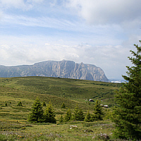 Auf der Seiser Alm (Südtirol).