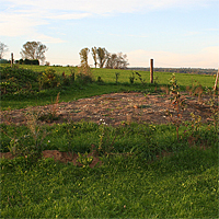 Im Herbst 2010. Die ersten Pflanzen wachsen, nachdem die Brenne mit etwas Rasenabschnitt abgedeckt wurde. Ebenso machte die Hecke einen deutlichen Wachstumsschub.