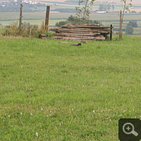 Im Sommer 2009 handelt es sich noch um eine 'jungfräuliche' Wiese, bevor ...