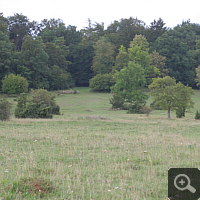 Wacholderheide im Landkreis Heidenheim im August 2011.