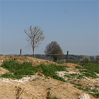 Im Frühjahr 2010. Die ersten Pflanzen wachsen. Im Hintergrund eine Kornelkirsche.
