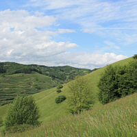 Auf dem Badberg.