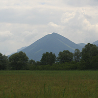 Zwischenmoor bei Rosenheim.