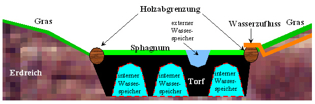 Skizze eines Moorbeets