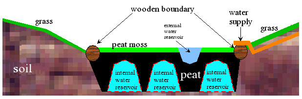 Draft of a bog bed.