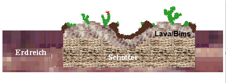 Skizze eines Kakteenbeets