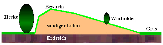 Skizze einer Wacholderheide