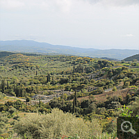 Hügellandschaft bei Ampelokipi.