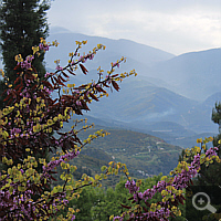 Blick von Delphi ins Tal.