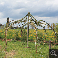 Along the previously stretched auxiliary cords more willow branches were tied, and thus created the roof.