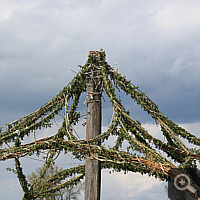 Dachspitze des Pavillons.