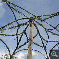 The roof from below.