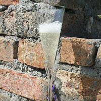 Elderflower sparkling wine.