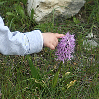 My daughter with an Orchis italica.