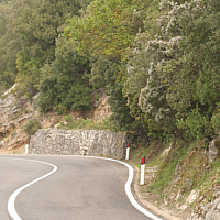 Road near Dorgali, habitat of the endemic Ophrys panattensis.