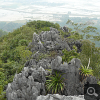 High up on a limestone. View down across the wetland. Photo: S. Elser.