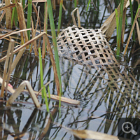A bow net in Van Long Nature Reserve. With that are captured illegally fishes and crabs.