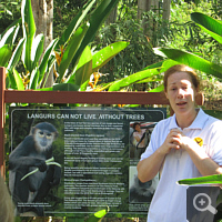 Führung im Dao Tien Endangered Primate Species Centre.