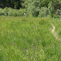 Lechtalheide südlich Augsburg