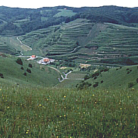 View from the Badberg, Kaiserstuhl.